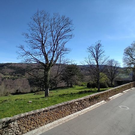 Villa Sur La Route Du Pont Neuf Sauvain Esterno foto